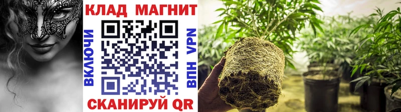Где можно купить наркотики Армянск Гашиш  ЭКСТАЗИ  МЕФ  МДМА  Каннабис  АМФ 