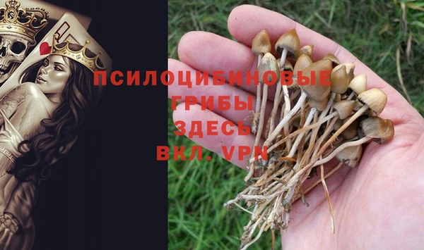 синтетический гашиш Арсеньев