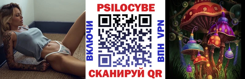 Галлюциногенные грибы Psilocybe  купить наркоту  Армянск 